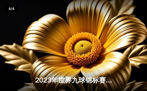 2023年世界九球锦标赛决赛：李·范·柯普绝杀夺冠，第三次登顶世界之巅 - 4