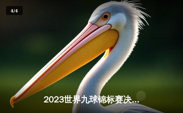 2023世界九球锦标赛决赛：张荣麟险胜柯秉逸，九球直播平台观看量破纪录 - 4
