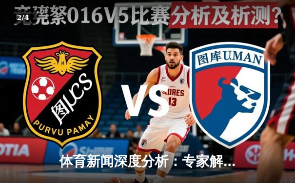 体育新闻深度分析：专家解读 - 2